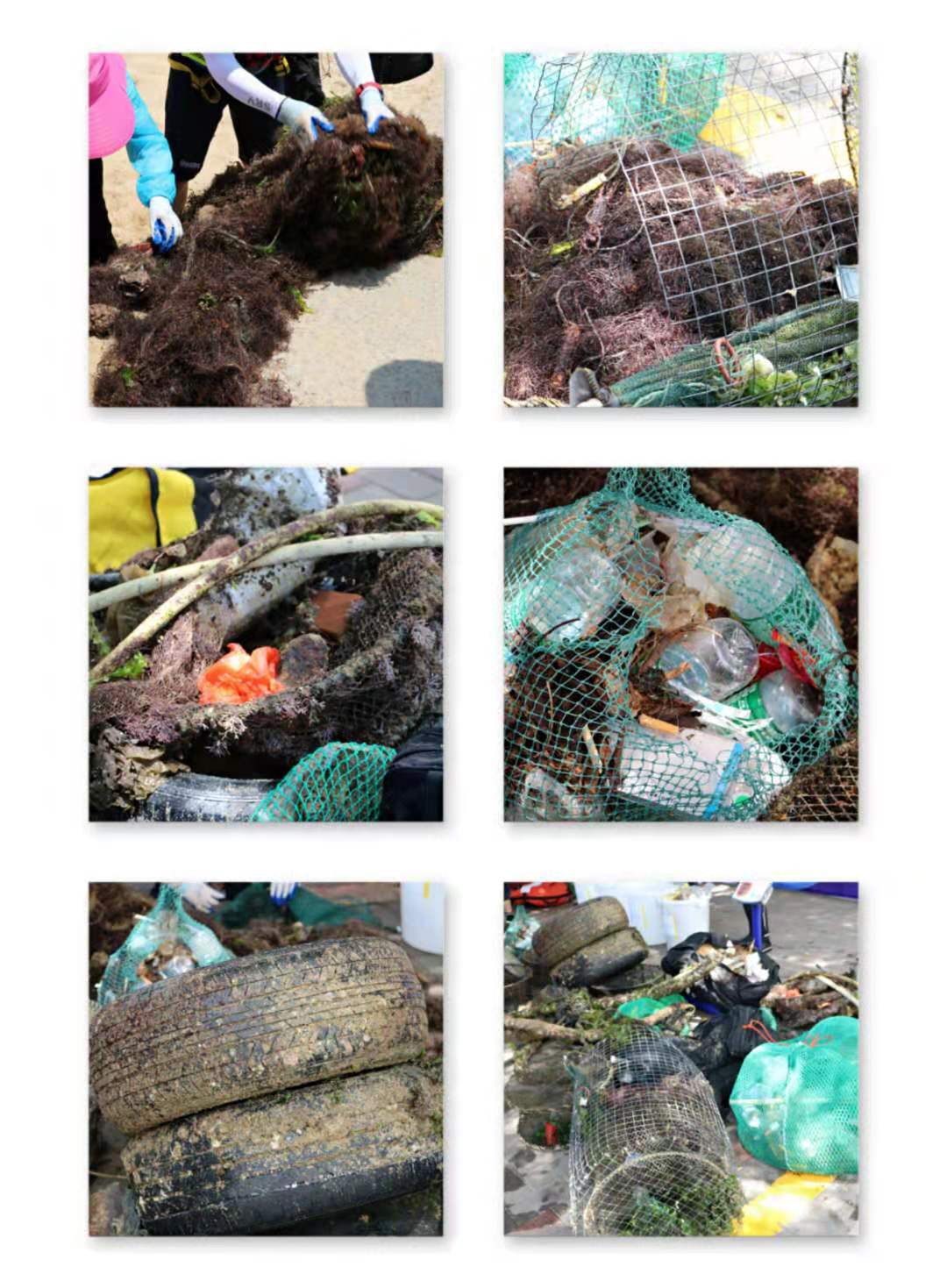 深圳水域搜救志愿者协会